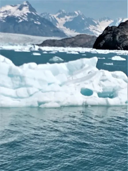 2._I_am_studying_Pack_ice_in_A_very_deep_ocean_channel_in_Valdez_Alaska._Glaciology